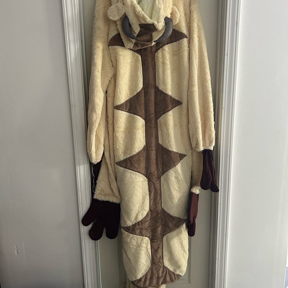 Appa costume